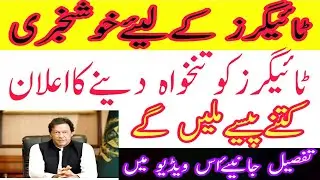 tiger Force latest update#Today tiger force update 2020