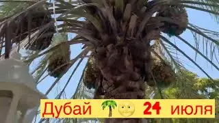 ДУБАЙ В ИЮЛЕ 🌴🌝СТОИТ ЛИ ЕХАТЬ🤔