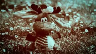 Sleepy Thoughts (Music Video) - Rotaris