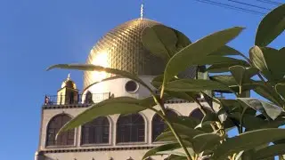 УРУС-МАРТАН. СОЛНЕЧНЫЕ ДНИ В ФЕВРАЛЕ