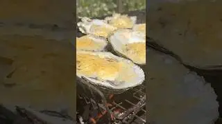 🦪Сахалинские устрицы. Сами поймали - сами съели. Озеро Буссе! #сахалин #экскурсии #russia #устрицы