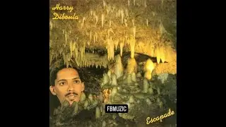 Harry Diboula - San ou mwen garé