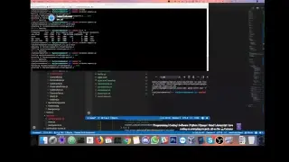 Programming | Python | Django | React | Javascript | Live coding on everyday projects. all on the 🏝
