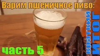 Варим пшеничное пиво: часть 5 (краткий ИТОГ)