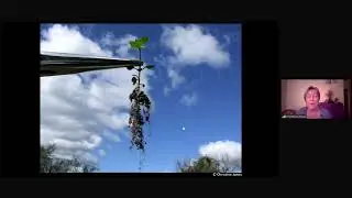 Christine Jones - BioFarm 2020 - Day 4