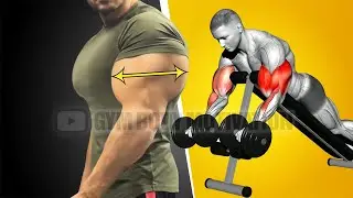 Biceps and Triceps Workout at Gym for Beginners