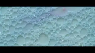 Snowk - Miyanomori feat. Froya