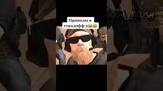 Приколы в стэндоф 2😂😂