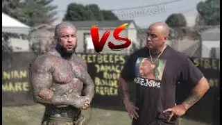 SCARFACE vs MIGHTY MOUSE the PREDATOR of STREETBEEFS