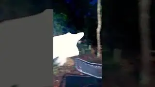 Safer deer repellent & repells all