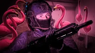 SCP: 1507 - Flamingo Invasion
