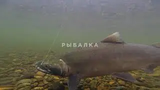 Рыбалка в Магадане. Невозможное возможно.