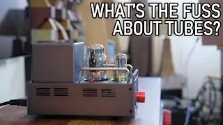 Why we like tubes, with xDuoo TA-26s