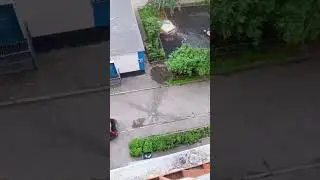 2 часть сбрасывания пакета с 6 этажа #2024 #gta #brain #жиза #жизаа #memes