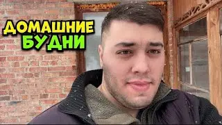 Домашние будни || German Shepherd || Щенок Немецкой овчарки