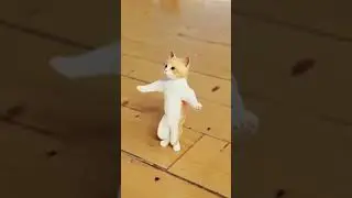 Танцующий Кот##Когда небудь видели Танцующего Кота😂😂😂