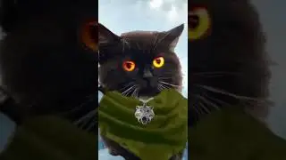 28 оттенков чмони 