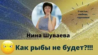 Как рыбы не будет?!  #обиженыйкот