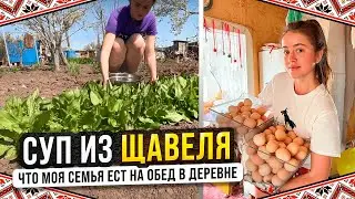 НАШ МАЙСКИЙ ОБЕД