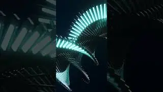 Rado Anatom - Orange final 