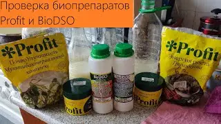 ВЫРАЩИВАЮ БИОПРЕПАРАТЫ. Проверка Profit и BioDSO
