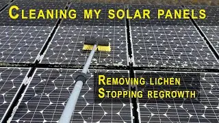 How to clean solar panels and remove lichen
