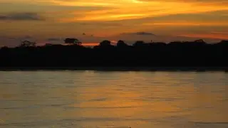 Icaro Video