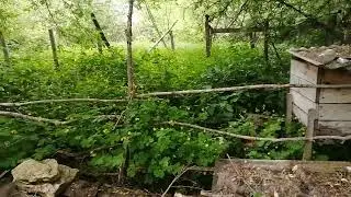 Бывший дом и участок Полетаевых.