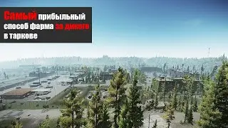 Самый прибыльный способ фарма за дикого в таркове.