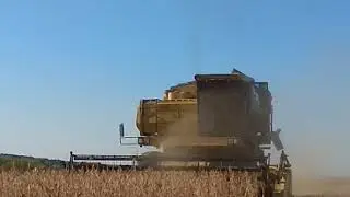 Дон Дир и соя 2018...