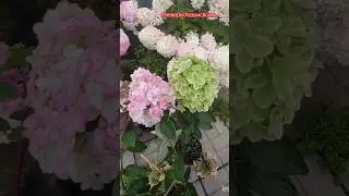 Как нас обманывают на Wildberries или не верь глазам своим🤦.