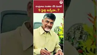 ఈ 5 ఫైళ్ల పైనే చంద్రబాబు మొదటి సంతకం | 