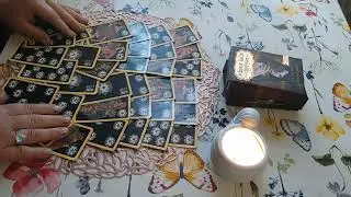 Червовая дама