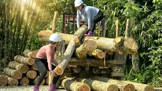Two Village Girls in Hard Hats Load Massive Timber Logs on a Truck By Hand — Pure Strength
