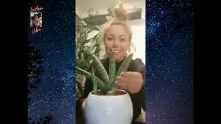 How to make your plants grow faster #shorts