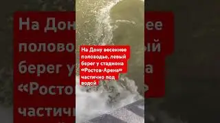 Из-за сильных ветров и весеннего половодья на Дону наполовину ушел под воду городской пляж