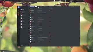 Discord   как пользоваться и мини гайд!