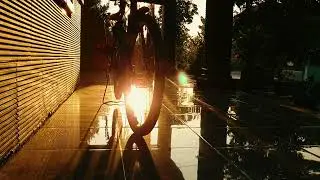 CINEMATIC ALAM | SINAR MATAHARI SORE | NATURE CINEMATIC VIDEO