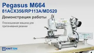 Pegasus W664-81ACX356/RP113A/MD520 — плоскошовная машина для притачивания резинки