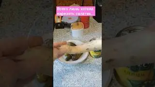 Редька завяла, салатик не получился...