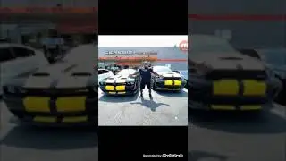 KALI MUSCLE EXPOSED RENTING CARS