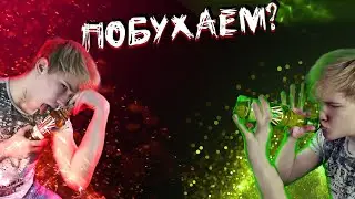 СТРИМ НАРЕЗКА со дня рождения SEINTYS