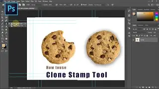 Simple Tricks for Using Clone Stamp Tool in Photoshop