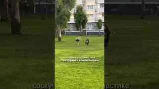 #rg #гимнастикадети #гимнастика #викаианжелика