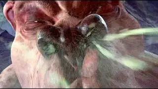 Snotty Scrappy Rex Sneeze!