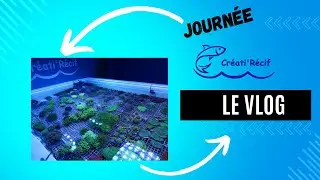 Créati'Récif journée récifal 2024 le vlog