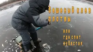 Ловим плотву со льда в Милятино. сезон 2019-2020