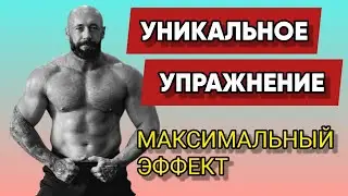 Универсальное Упражнение / Тренировка Всего Тела