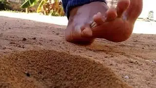 Feet Crush