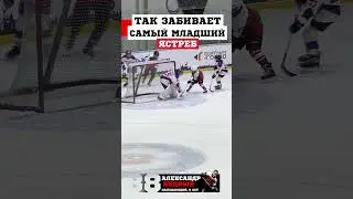 Самый младший Ястреб